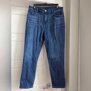 Ann Taylor Dark Blue Straight Leg Jeans